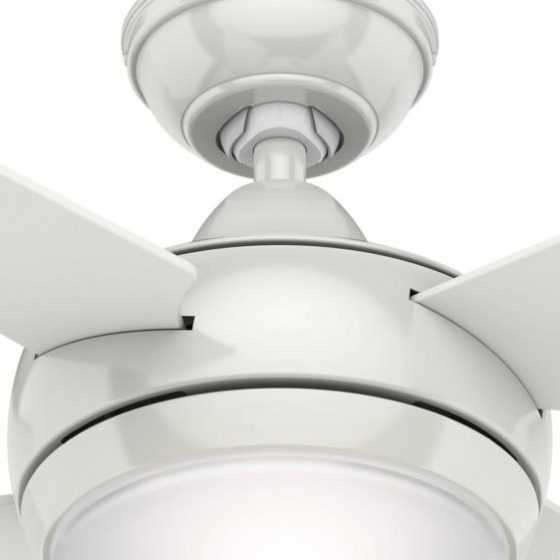 SONIC - Decorative Indoor Contemporary Ceiling Fans | Breezsol | Dubai